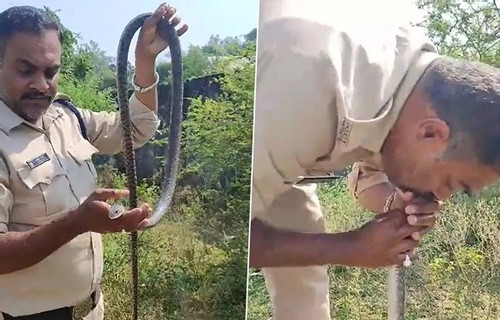 Xem cảnh sát Ấn Độ mạo hiểm làm hô hấp nhân tạo cứu con rắn