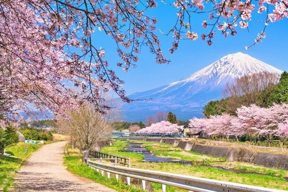 Japan to issue e-visas to Vietnamese group tourists as of November 1