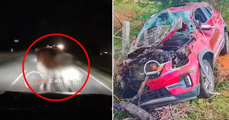 KIA Seltos chạy 110 km/h đâm phải trâu trên cao tốc, chủ xe đổ lỗi đèn quá tối