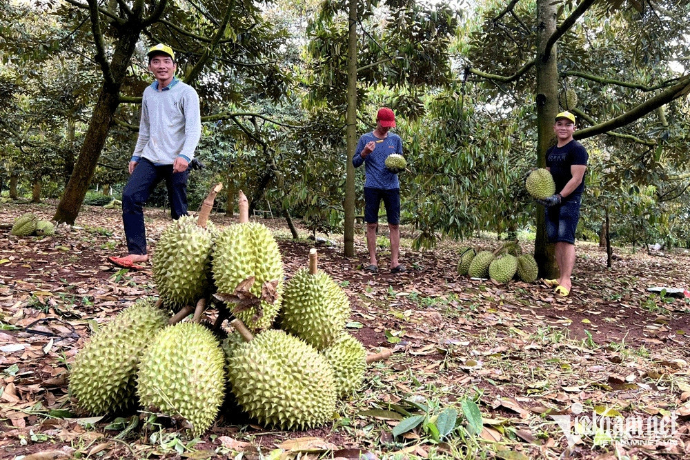 Farm produce prices reach record high, farmers bag high profits