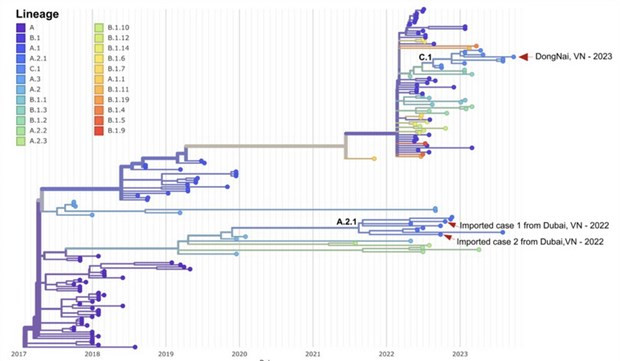 HCM City announces genome sequencing results of first domestic monkeypox case