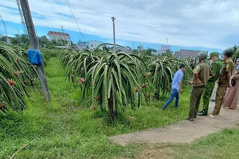 Người đàn ông bị điện giật tử vong tại vườn thanh long