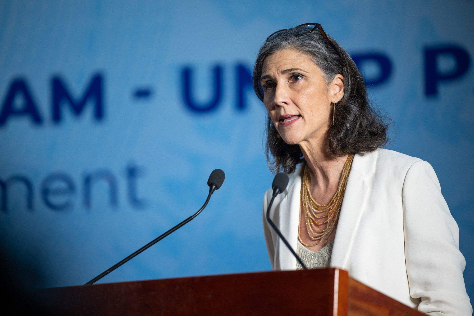 JETP helps transform Viet Nam’s economy towards green, low-carbon, climate-resilient manner - Ảnh 1.