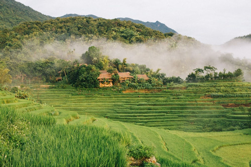 Khách Tây gợi ý những điểm đến 'vừa xinh đẹp vừa tránh đông đúc' ở Việt Nam