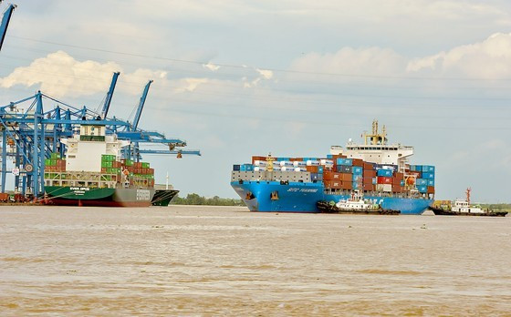 At Tan Cang - Cat Lai Port in HCMC (Photo: SGGP) ảnh 2