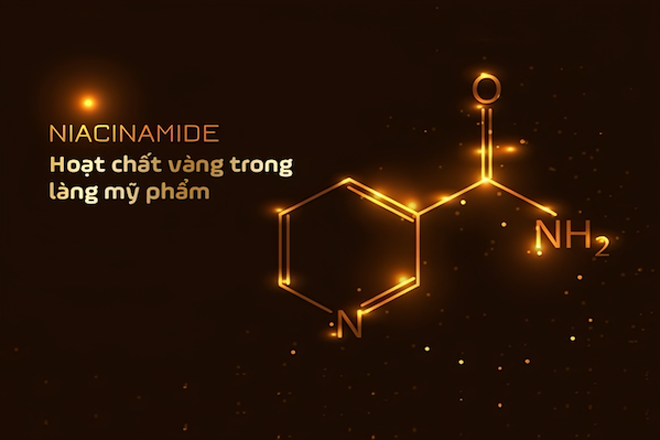 Niacinamide - hoạt chất ‘vàng’ trong quy trình dưỡng da toàn thân