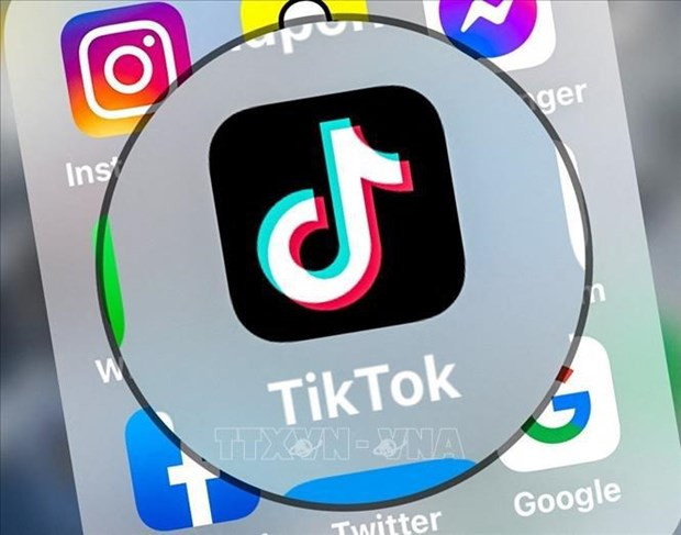 TikTok Singapore’s operation in Vietnam violates local laws: Ministry hinh anh 1