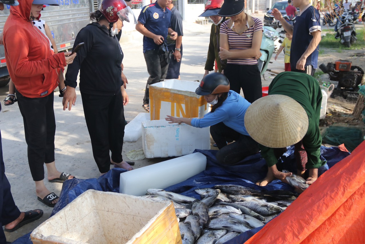 z4758346726247 64162705a6106a208148632361f1ada1.jpg