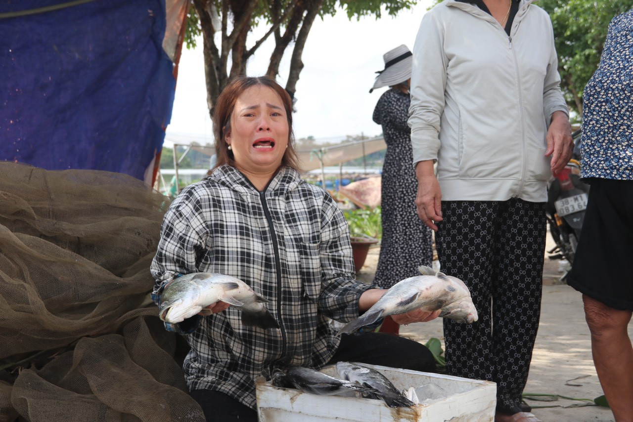 z4758346737449 dc0e6e3caa7c67aa59595f9a337527c5.jpg