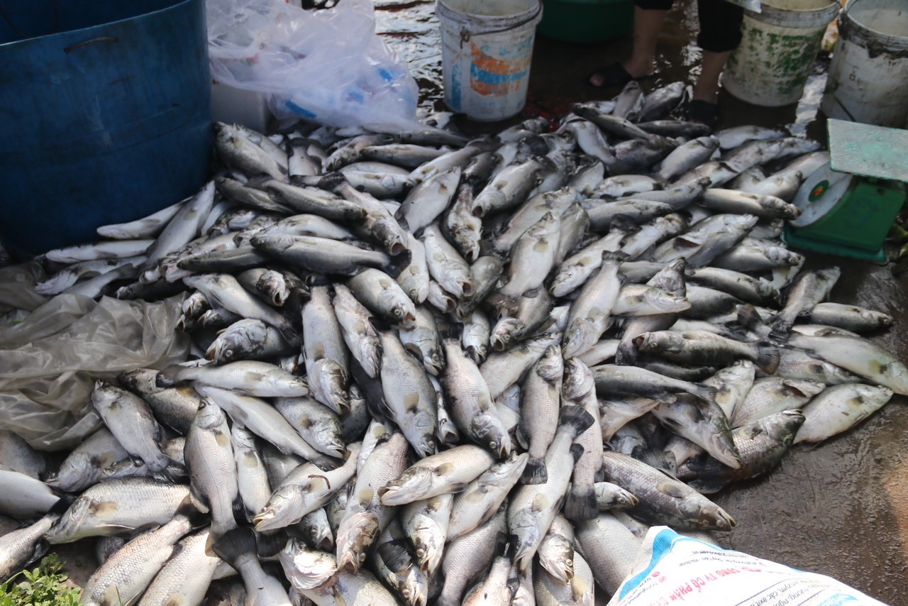 z4758346760153 9ab9431a179e804a5c5290b9b985796c.jpg