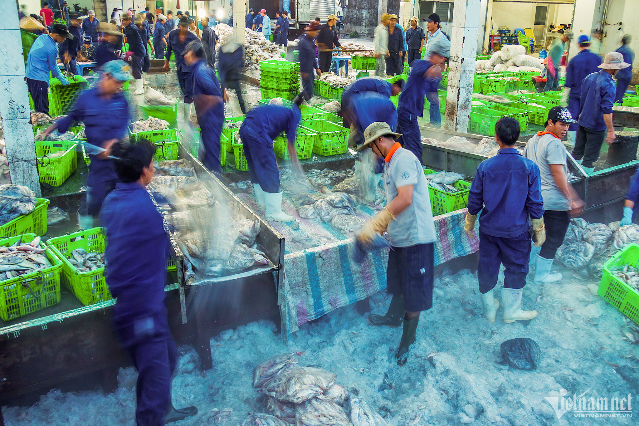 cang ca tac cau vnn 2 1 156.jpeg