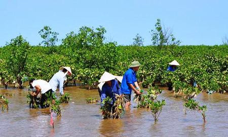 Phát triển đô thị bền vững vùng ĐBSCL: Biến thách thức thành cơ hội