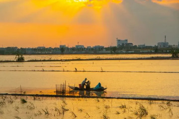 Climate change reduces Mekong River flows, causing impacts for VN