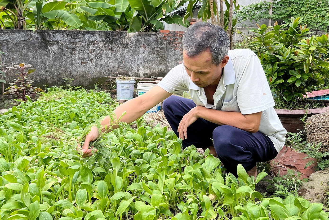 Con đậu đại học, cha trăn trở không thể hoàn thành di nguyện người vợ quá cố