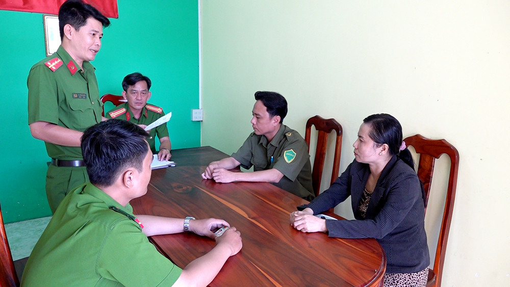 trinh bao tin gia.jpg