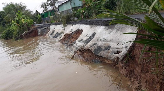 Erosion on the riverbank of Ba Rai River in Cai Lay District of Tien Giang Province is increasingly serious (Photo: SGGP) ảnh 1