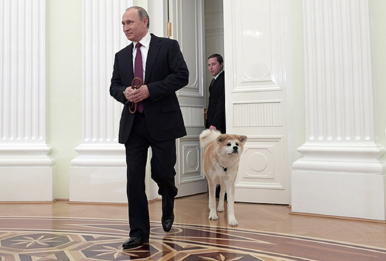 putin akita tass.jpg