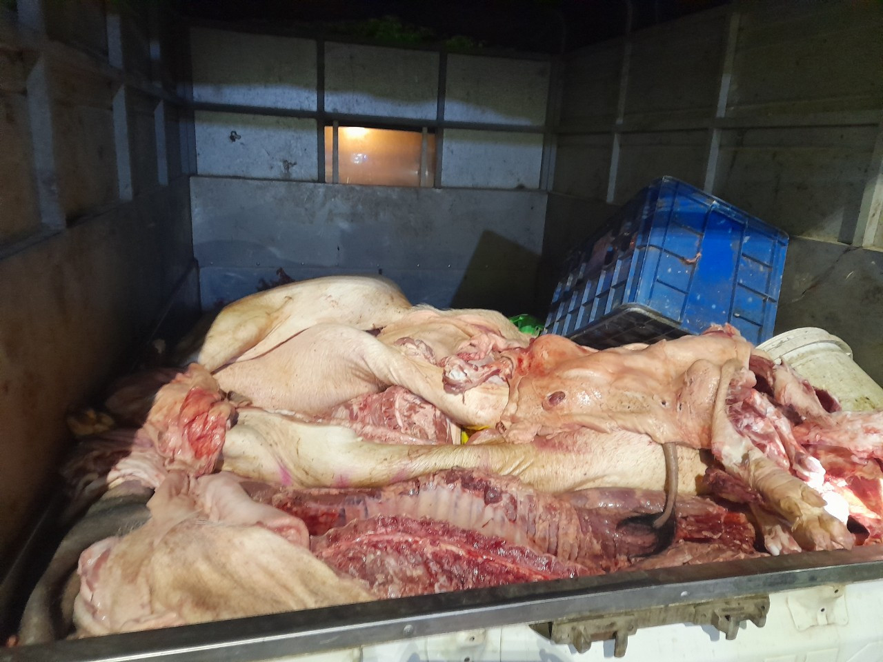Hơn 1,3 tấn thịt lợn bốc mùi ôi thiu, có dấu hiệu phân hủy được lén lún vận chuyển đi tiêu thụ - Ảnh 3.