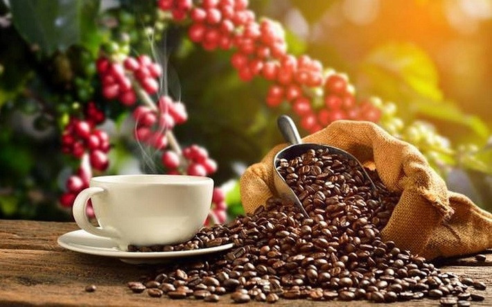 coffee exports gradually conquer us 4 billion mark picture 1