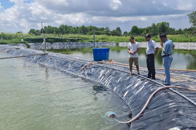 Bạc Liêu phấn đấu sớm trở thành trung tâm ngành công nghiệp tôm của cả nước