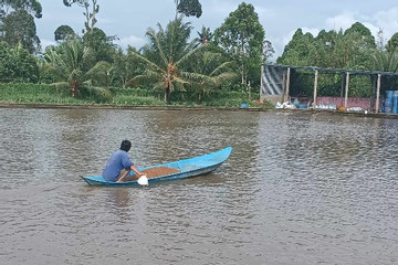 Cà Mau: Tích cực bảo vệ môi trường và phát triển bền vững ngành thủy sản