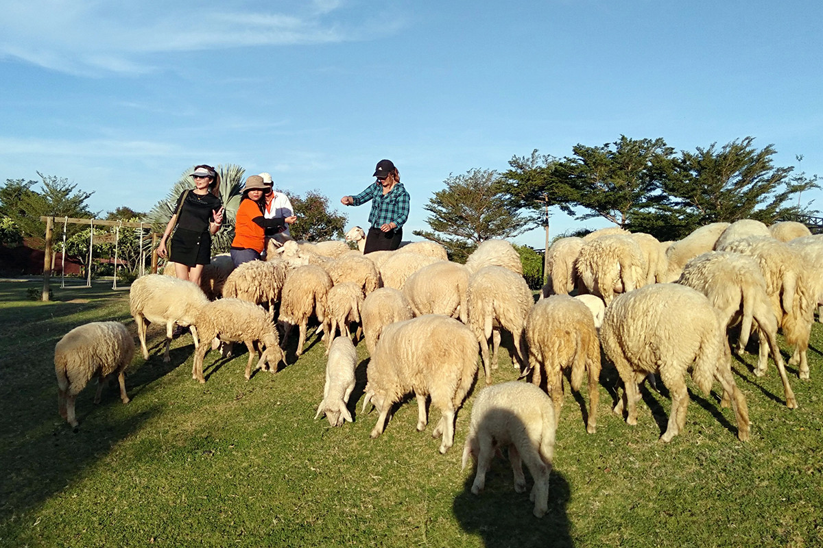 dulich ninhthuan 2.jpg