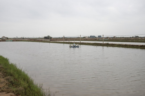 Nam Định yêu cầu người dân di dời tài sản tại khu nuôi trồng thủy sản Cồn Xanh