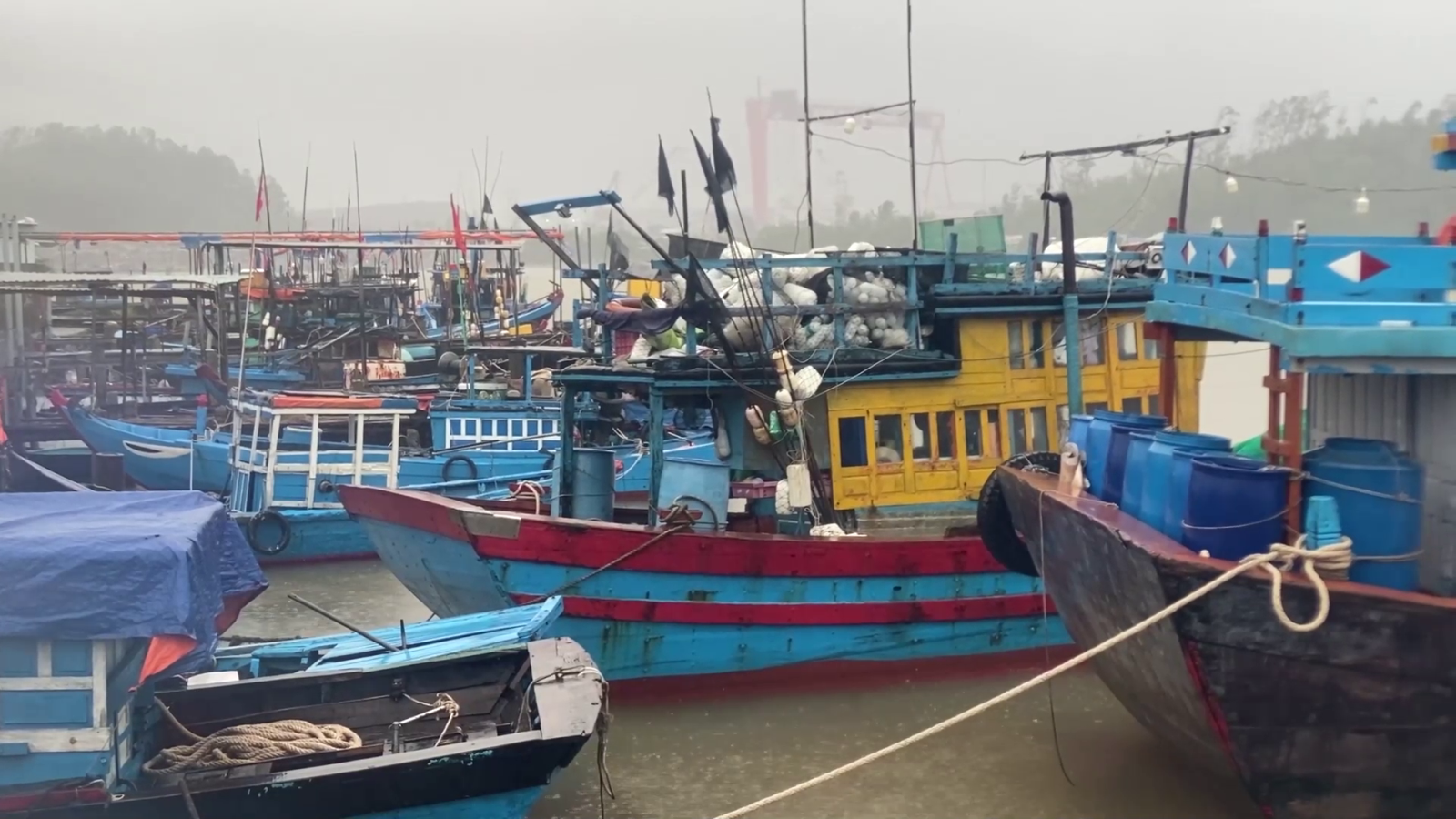 tau ca quang ngai.png