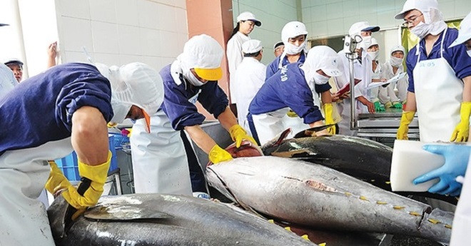 xuat khau ca ngu vlz14mhrmr4.jpg