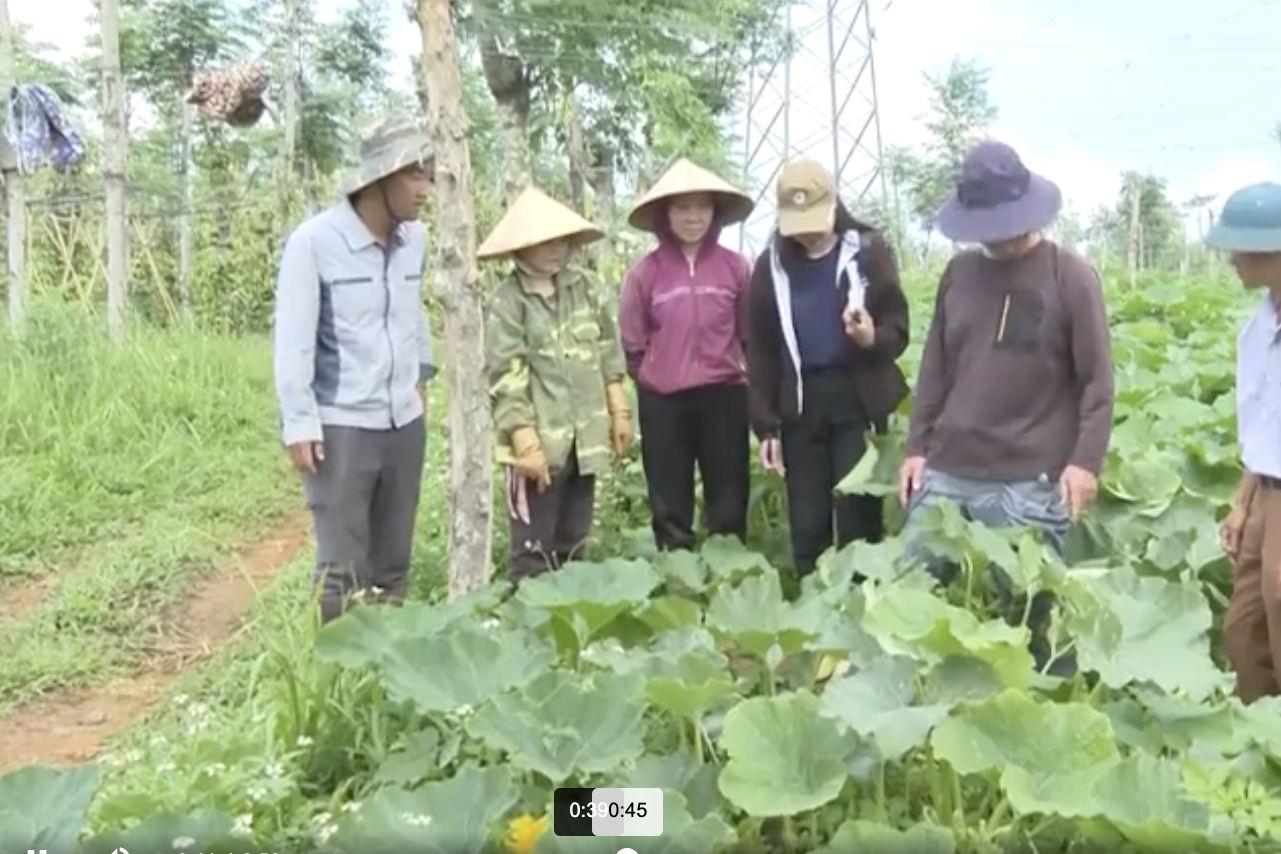 Đắk Nông: HTX đã và đang trở thành “mái nhà chung” thu hút nông dân