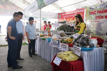 Hướng dẫn truyền thông, xây dựng thương hiệu sản phẩm nông sản ở Thanh Hóa