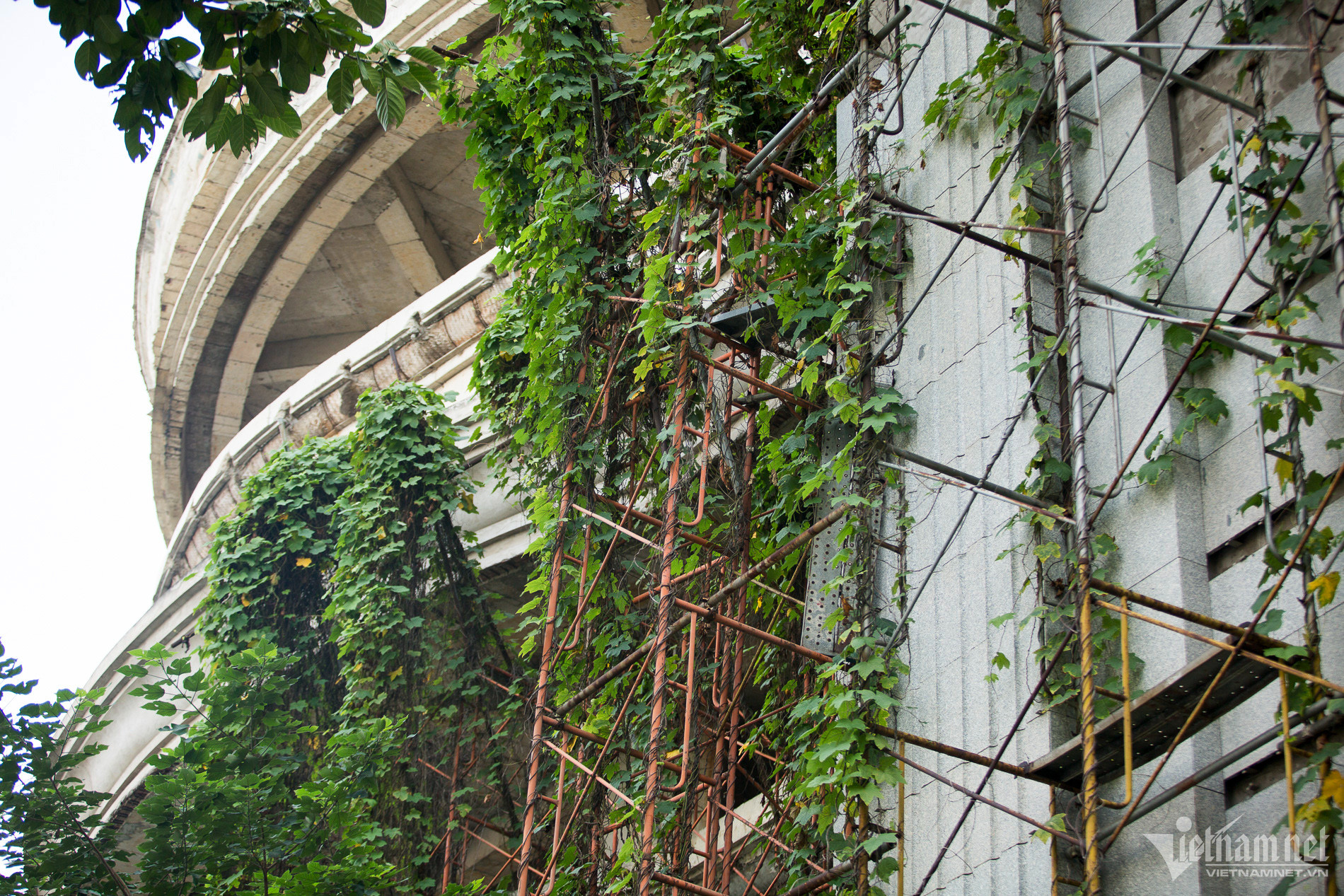 w dat vang bac ninh 1 1 1472.jpg