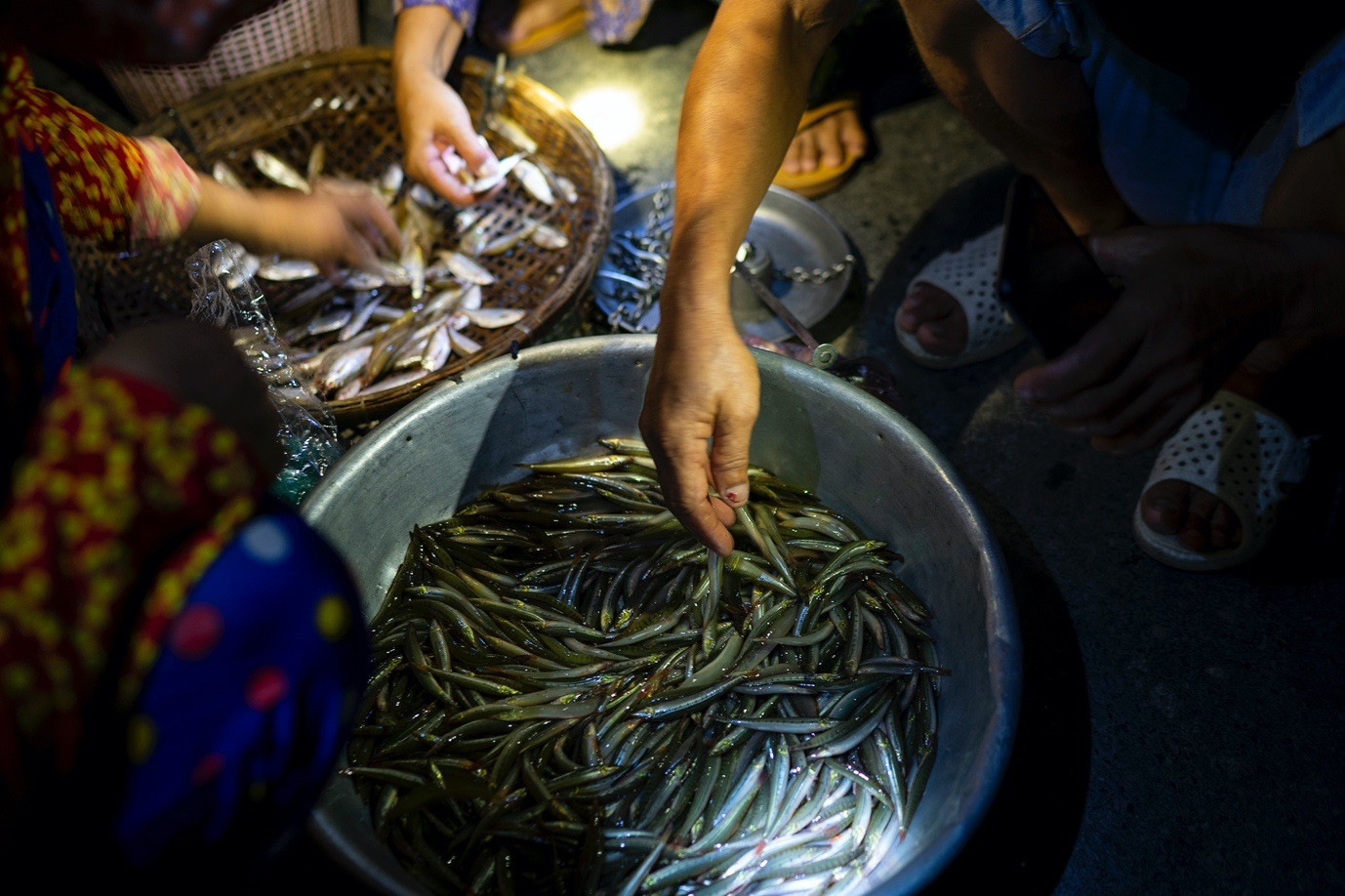 Chợ âm phủ ở miền Tây, người mua chưa kịp rõ mặt người bán thì chợ đã tan - 3