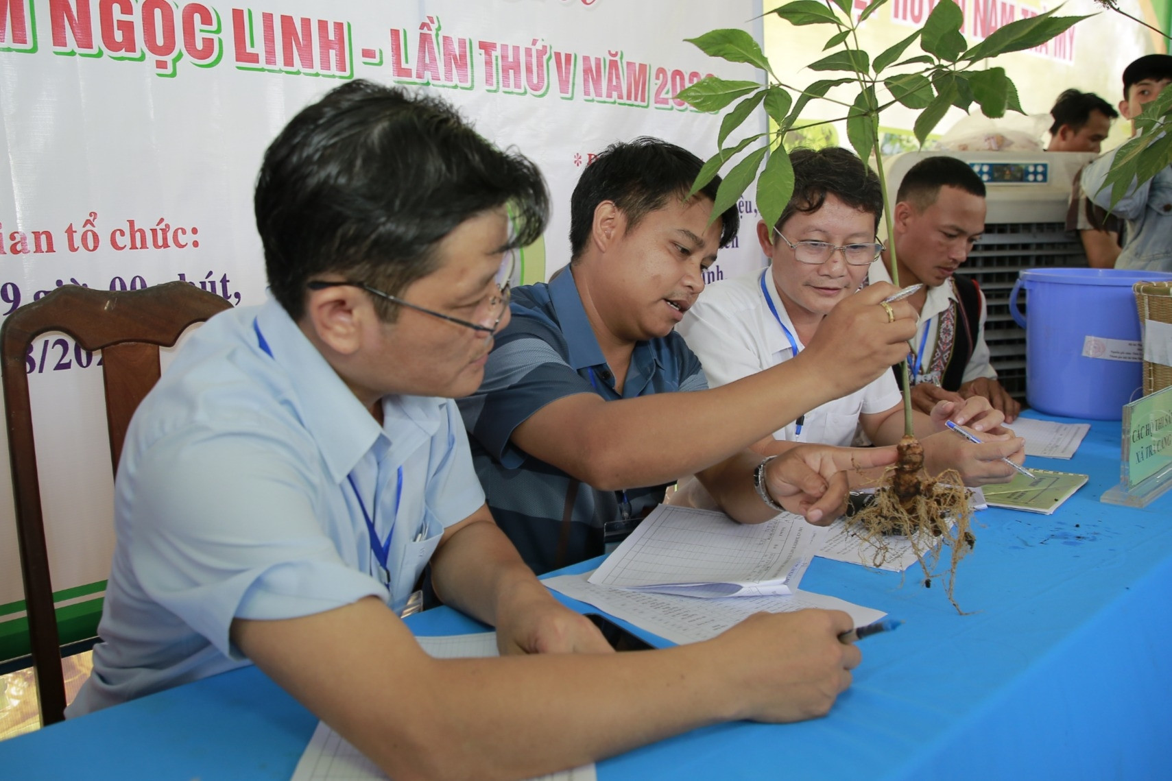 Lo 'quốc bảo' giả tràn thị trường, Quảng Nam hành động khẩn