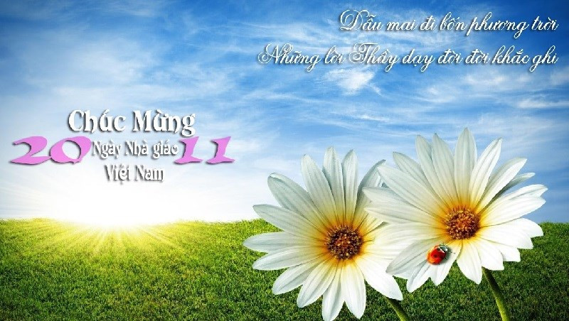 thiep mung 20 11 6.jpg