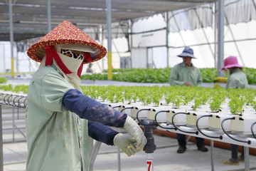 U.S. investments in Vietnam agriculture remain modest