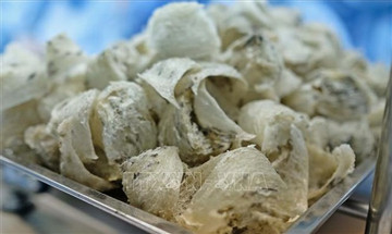 Vietnam to export first batch of bird’s nests to China this month