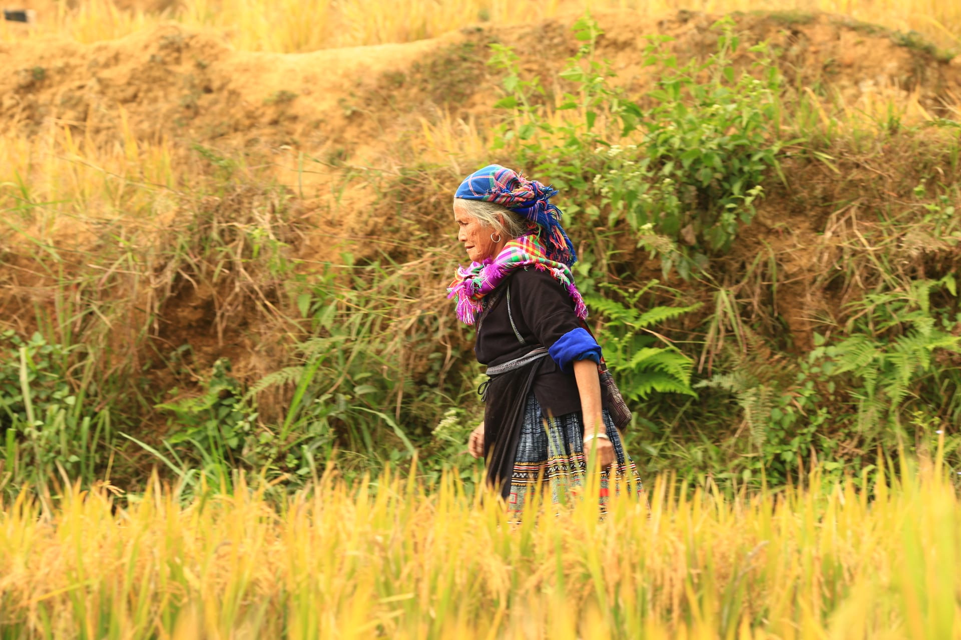 396701271 7474383535910591 7647871547414269016 n.jpg