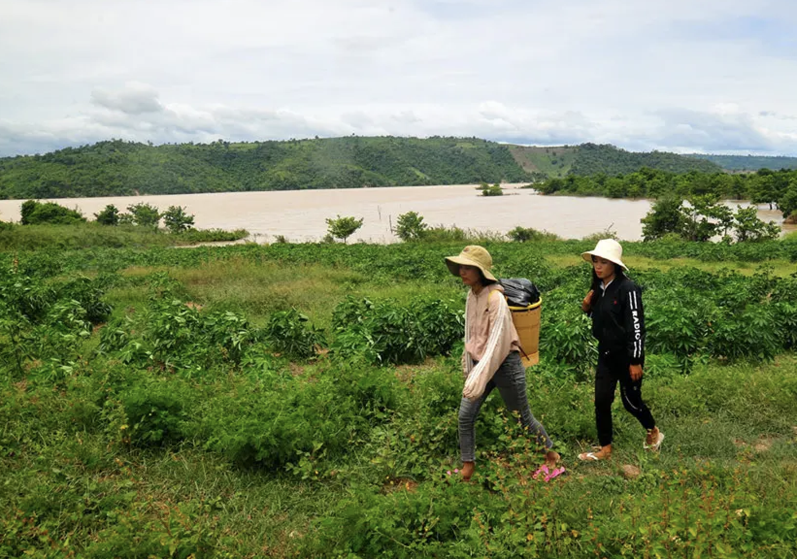 Người dân Suối Trai gia tăng sản lượng trồng trọt, chăn nuôi, đời sống cải thiện dần