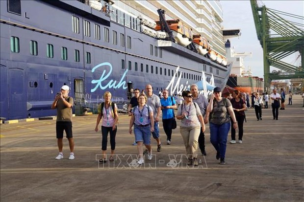 Vietnam taps potential to develop cruise tourism hinh anh 1