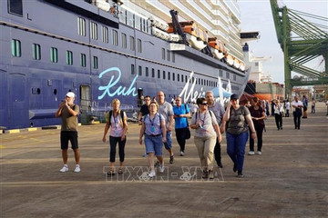 Vietnam taps potential to develop cruise tourism