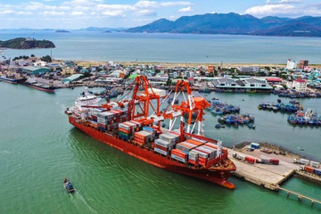 Chuyển đổi số logistics thúc đẩy xuất nhập khẩu Bình Định thành điểm sáng
