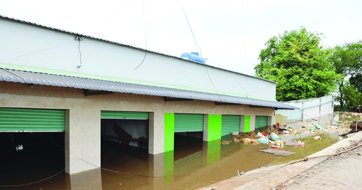 Mekong Delta Region needs urgent measures to cope with landslides