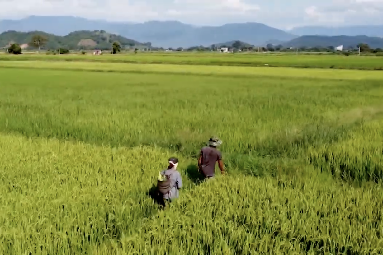 Nỗ lực về đích nông thôn mới, Buôn Triết đổi thay từng ngày