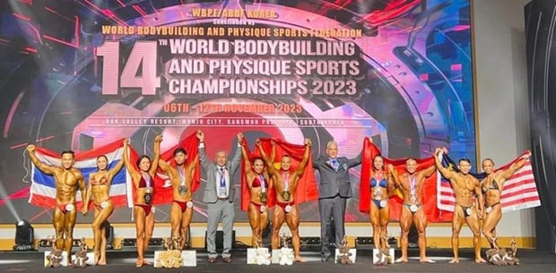 Vietnam bags eights golds at World Bodybuilding Championship hinh anh 1