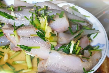 Chất cấm có trong mẫu cá khoai ở Quảng Bình nguy hiểm cho sức khỏe ra sao?