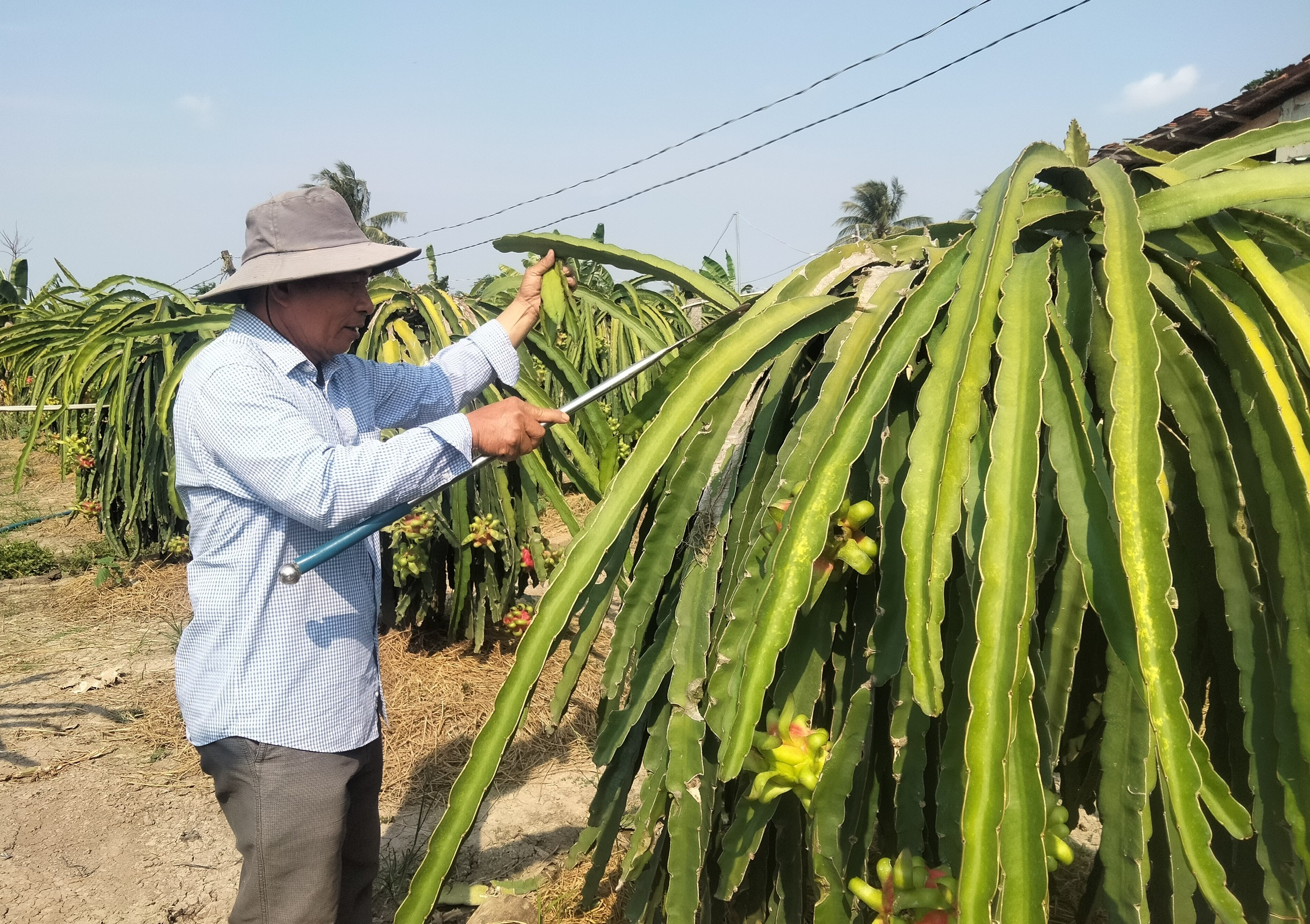 mini app tinh nang anh 4.jpg