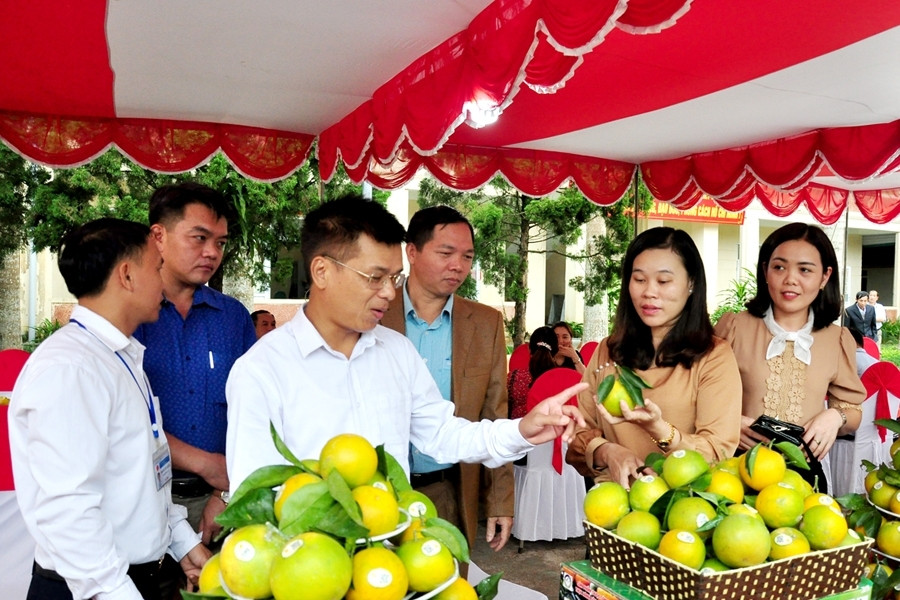 Sản phẩm OCOP tại các địa phương: Không thể trùng lặp, một màu