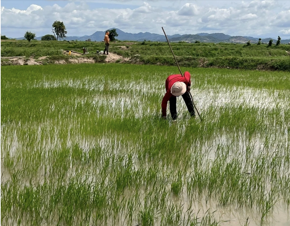 Vùng đất hoang vắng nay đã thành nơi tụ hội mừng lúa mới