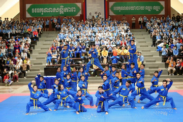 Vovinam recognised as national intangible cultural heritage